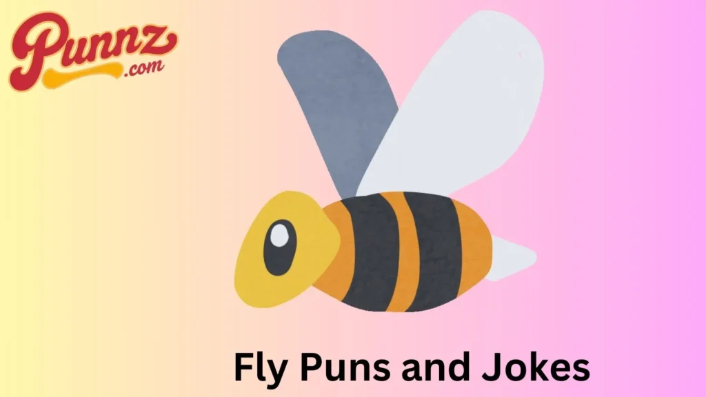 Best Fly Jokes