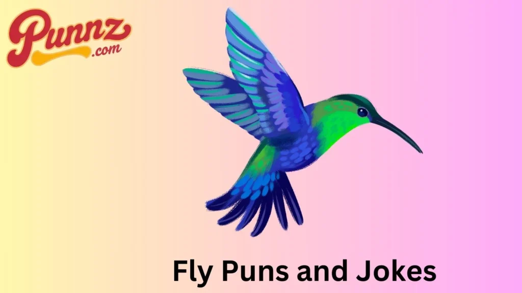 Fly Jokes for All Ages