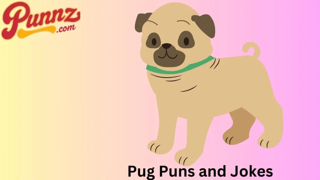 Why Pug Jokes