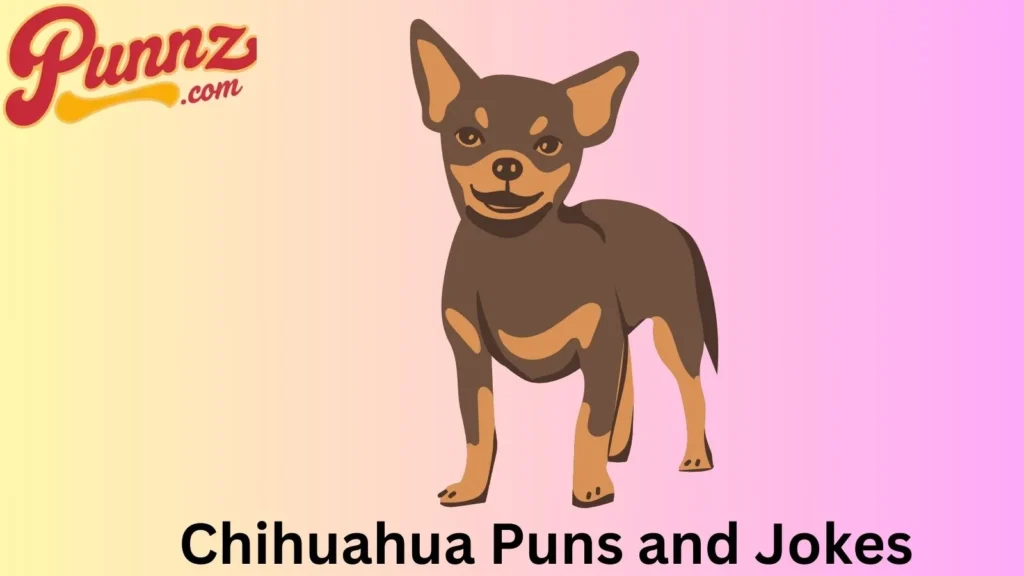 Adorable Chihuahua Puns 