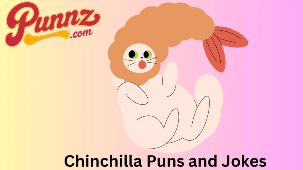 Adorable Chinchilla Puns