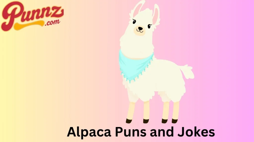 The Best Alpaca Jokes for Every Occasion