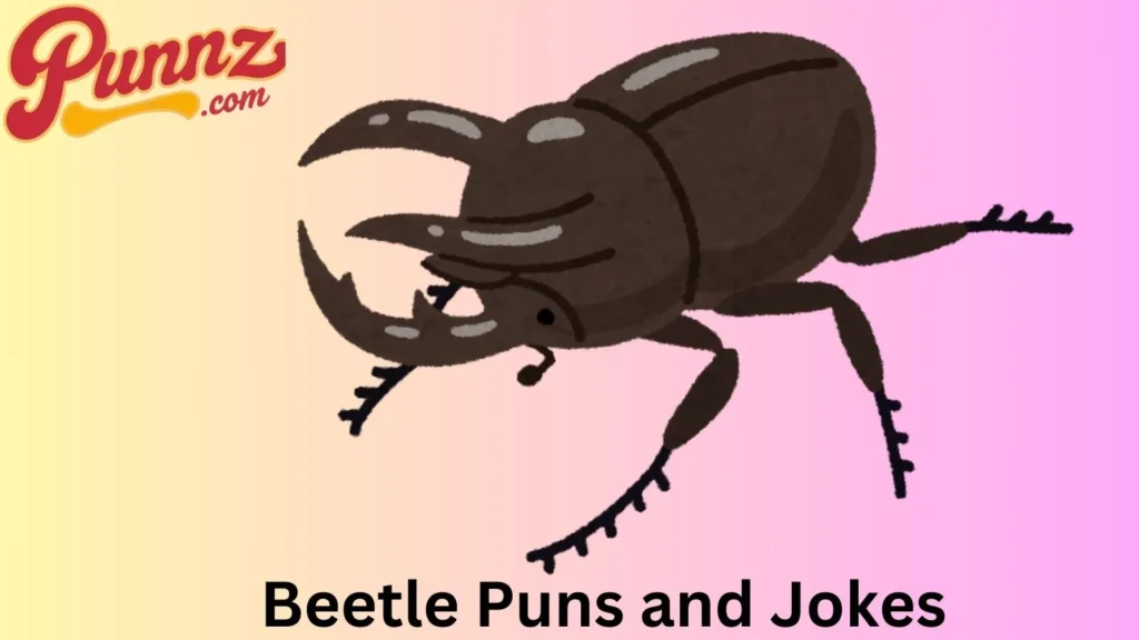 Beetle Humor to Lighten