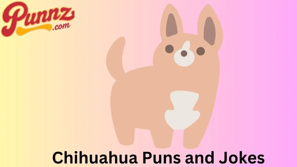 Big Laughs from Tiny Dogs