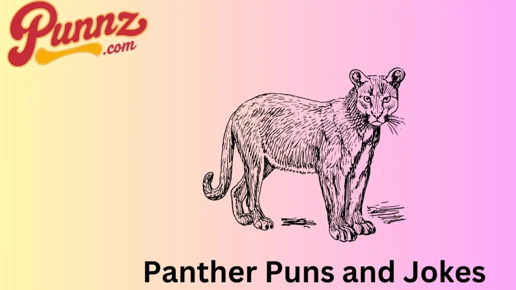 Black panther puns