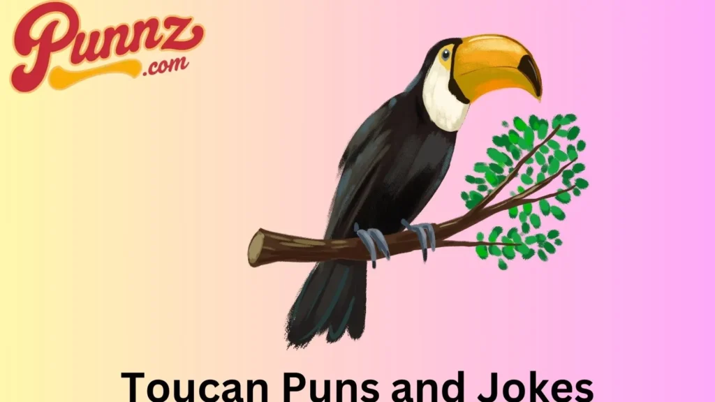 Brightest Collection of Toucan