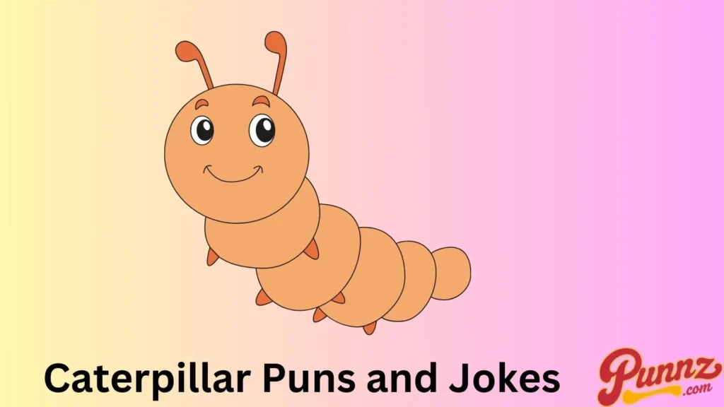 Caterpillar Puns and Jokes