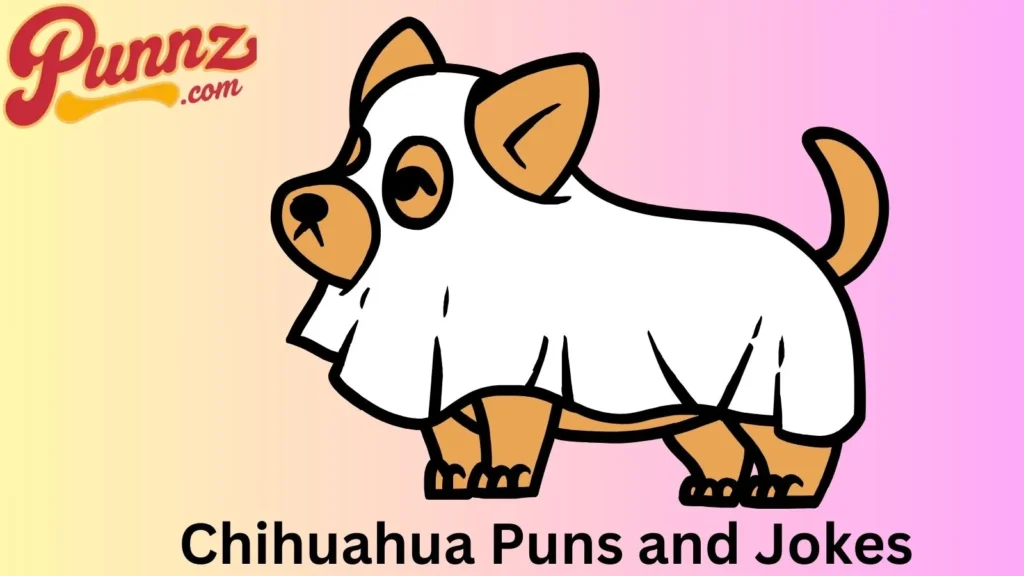  Chihuahuas at Playtime 