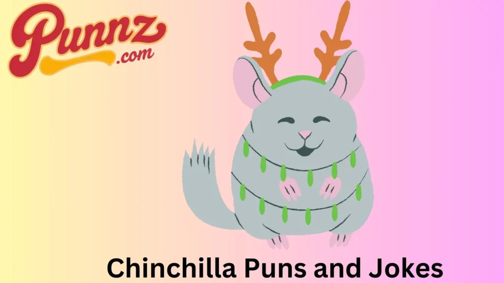 Chinchilla Puns