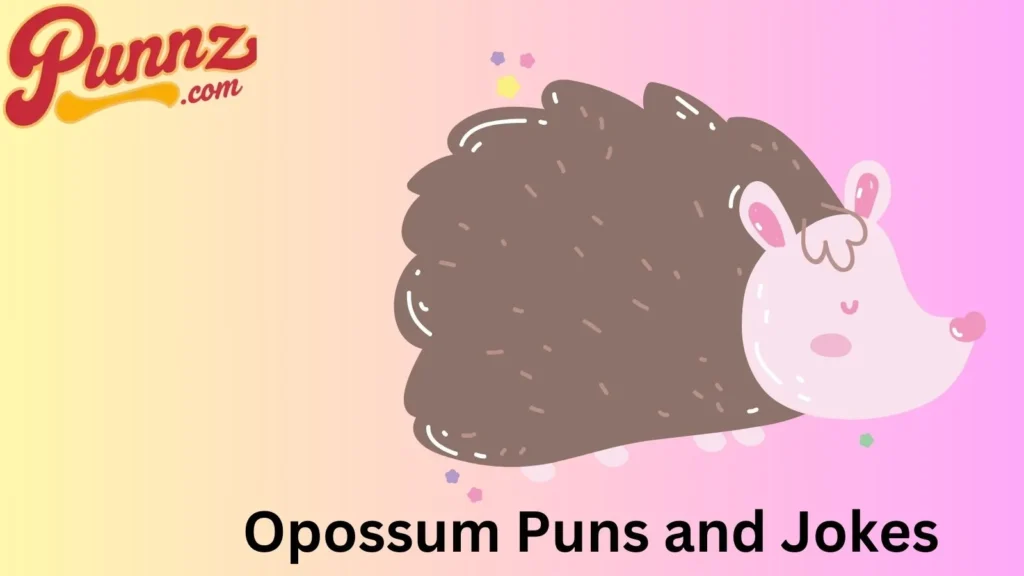 Clever Opossum Puns