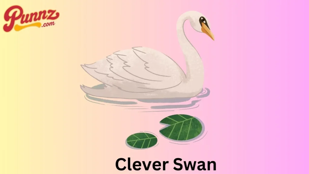 Clever Swan