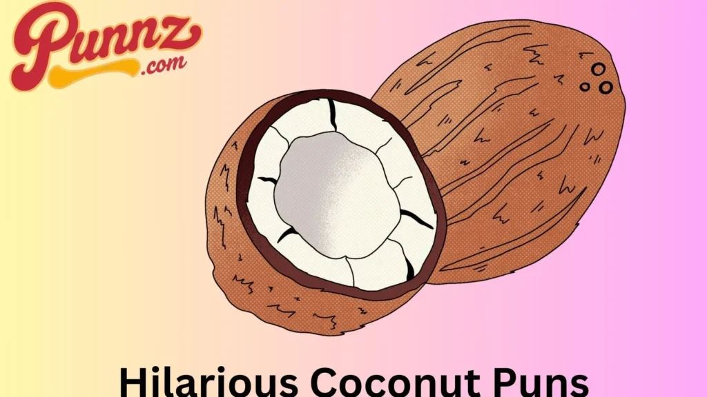 Collection of Hilarious Coconut 