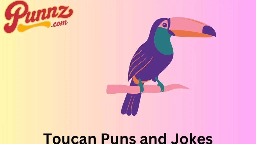 Colorful Collection of Toucan 