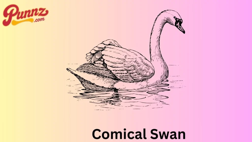 Comical Swan