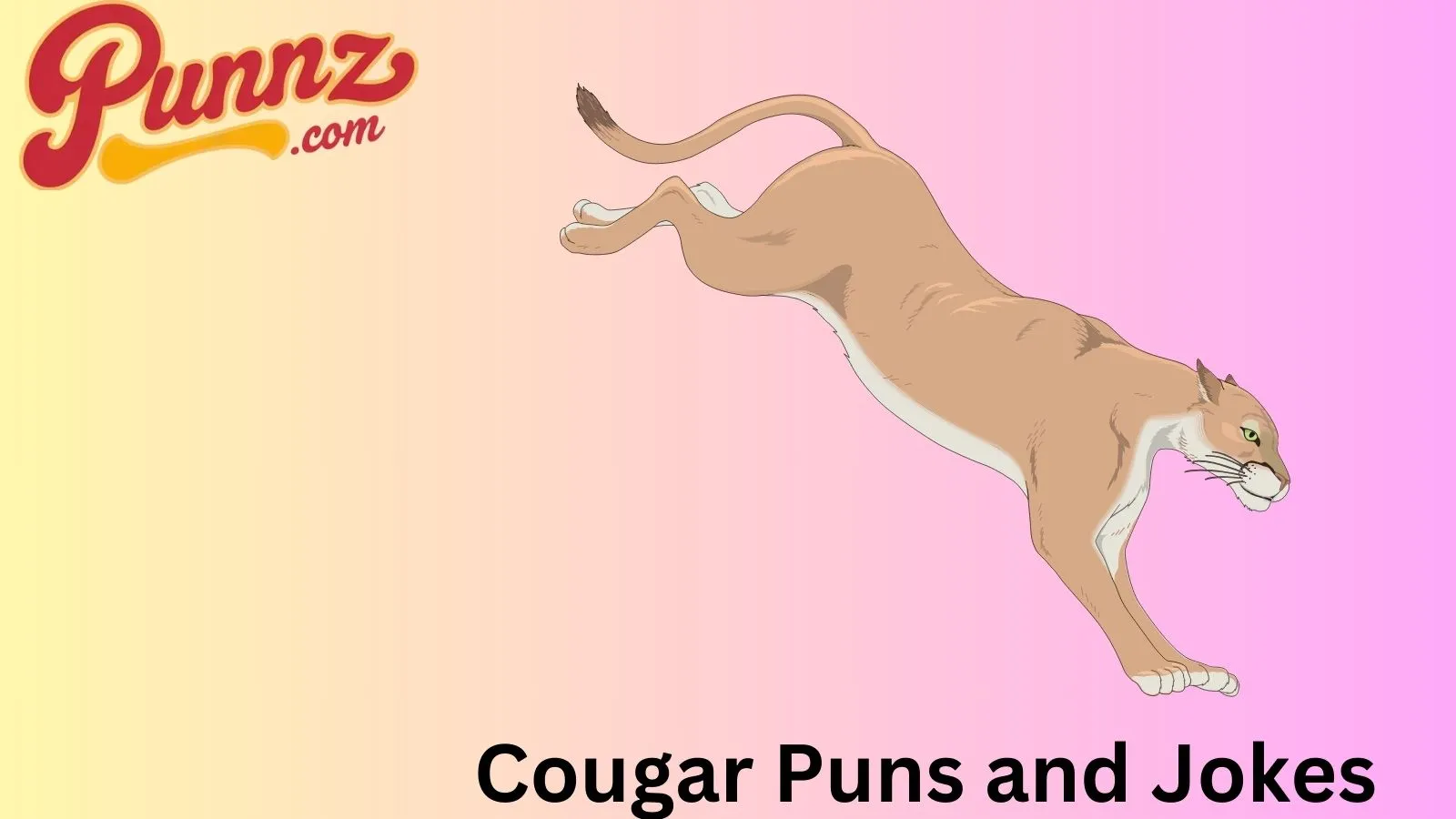 Cougar Puns and Jokes