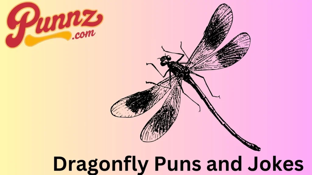 Dragonfly Jokes