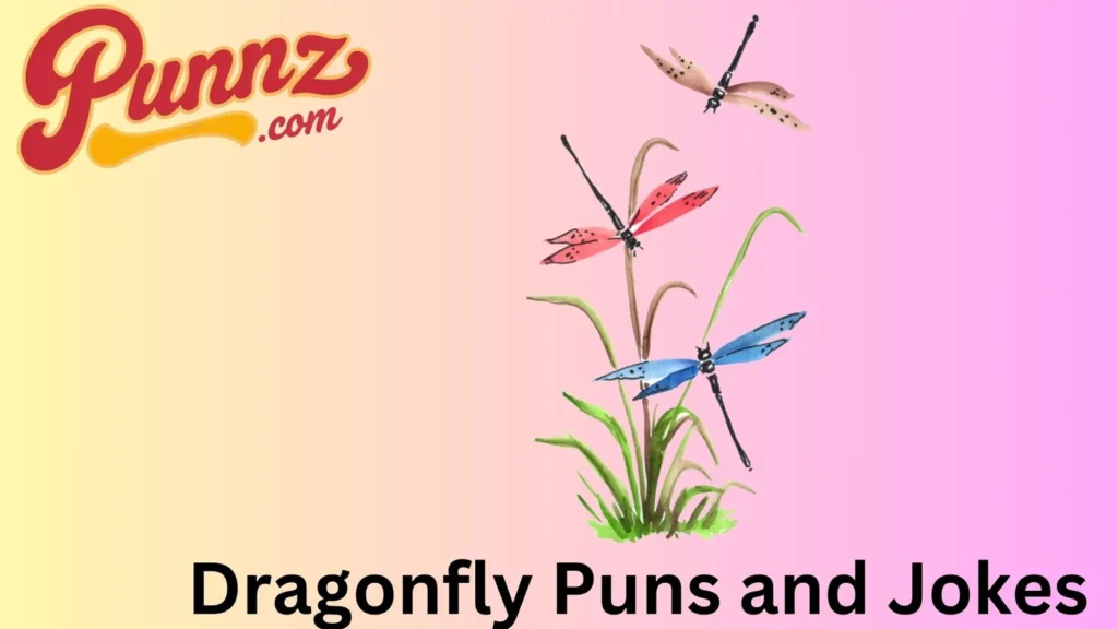 Dragonfly Wordplay 