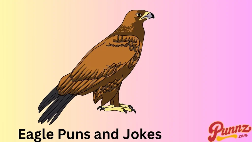 Eagle Jokes 