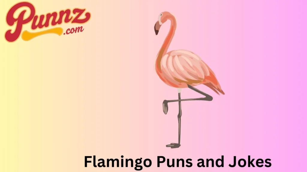 Flamingo Puns and Jokes