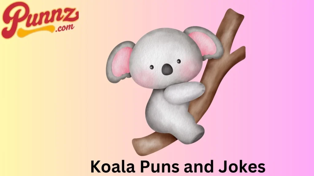 Fun and Cute Koala Jokes