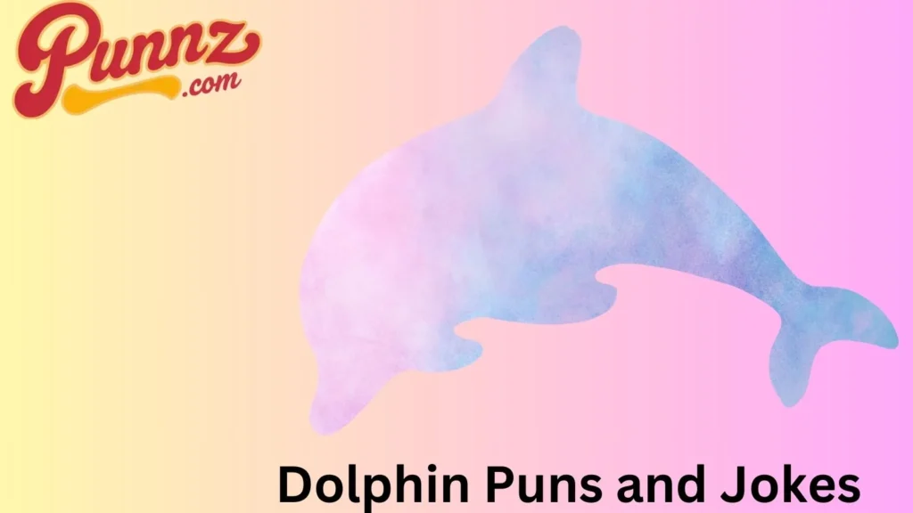 Fun Dolphin