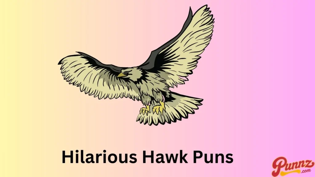 Fun Hawk Puns