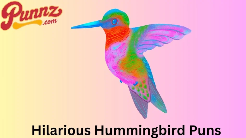 Fun Hummingbird Wordplay