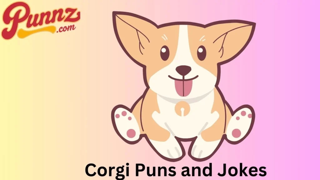 Funny Corgi Jokes