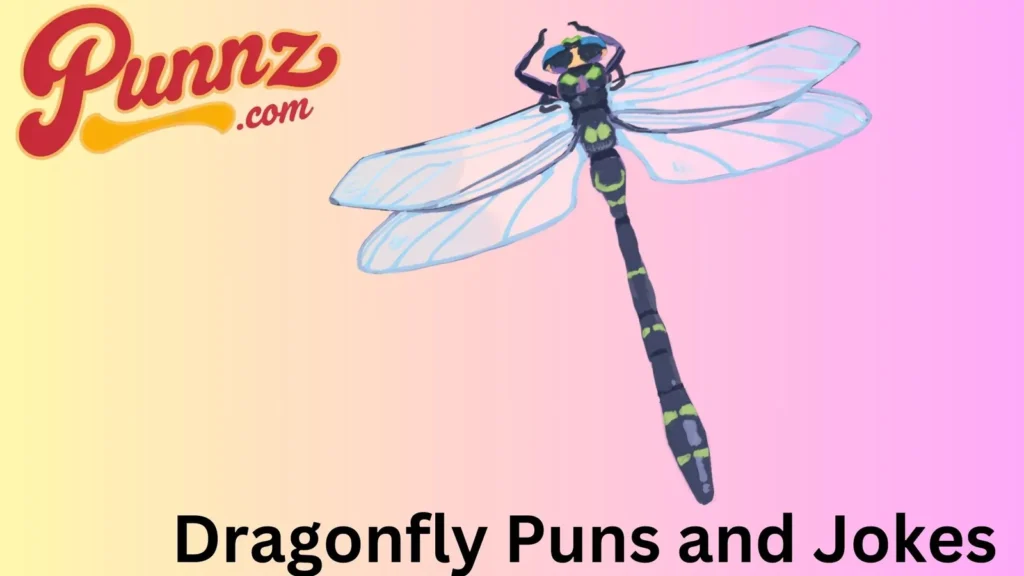 Funny Dragonfly Puns