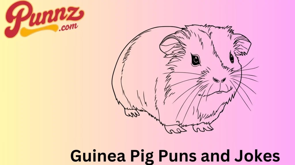 Funny guinea