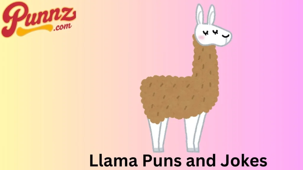 Funny Llama Jokes