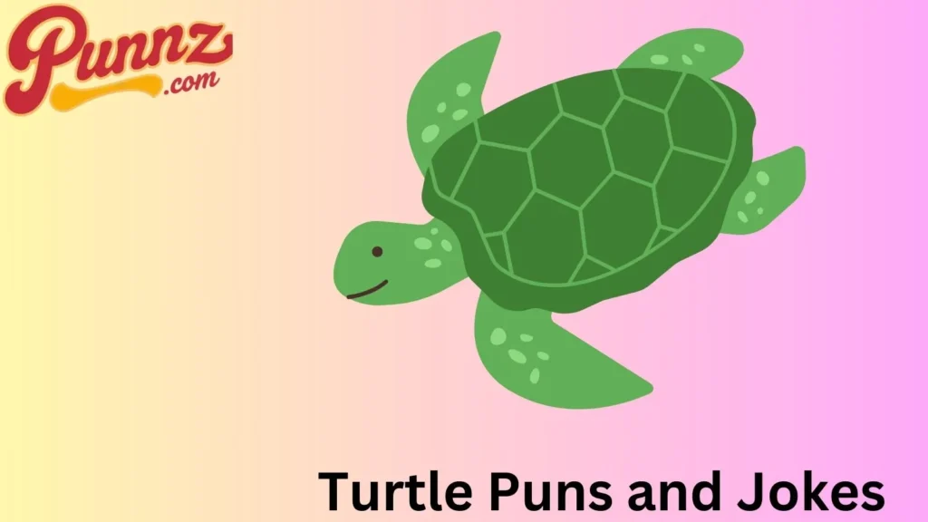 Funny turtle puns