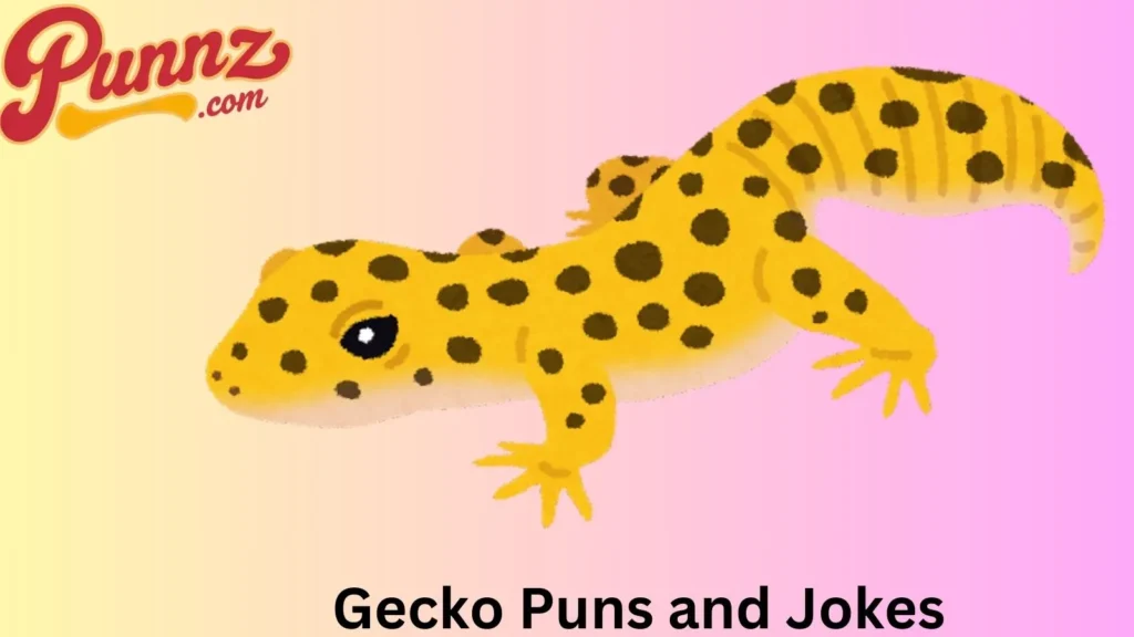 Gecko Humor to Make You Smile