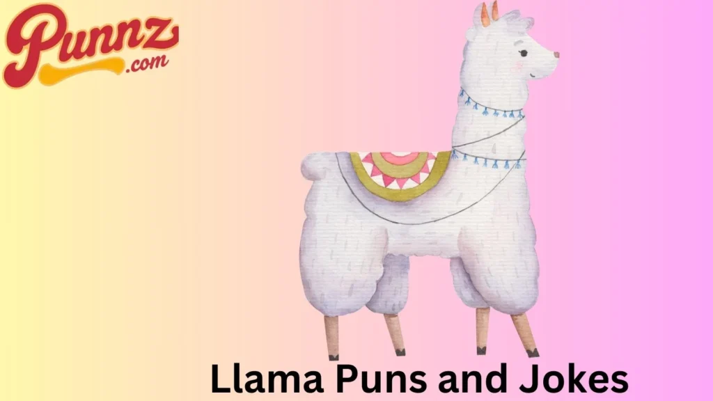 berate with These Jokes