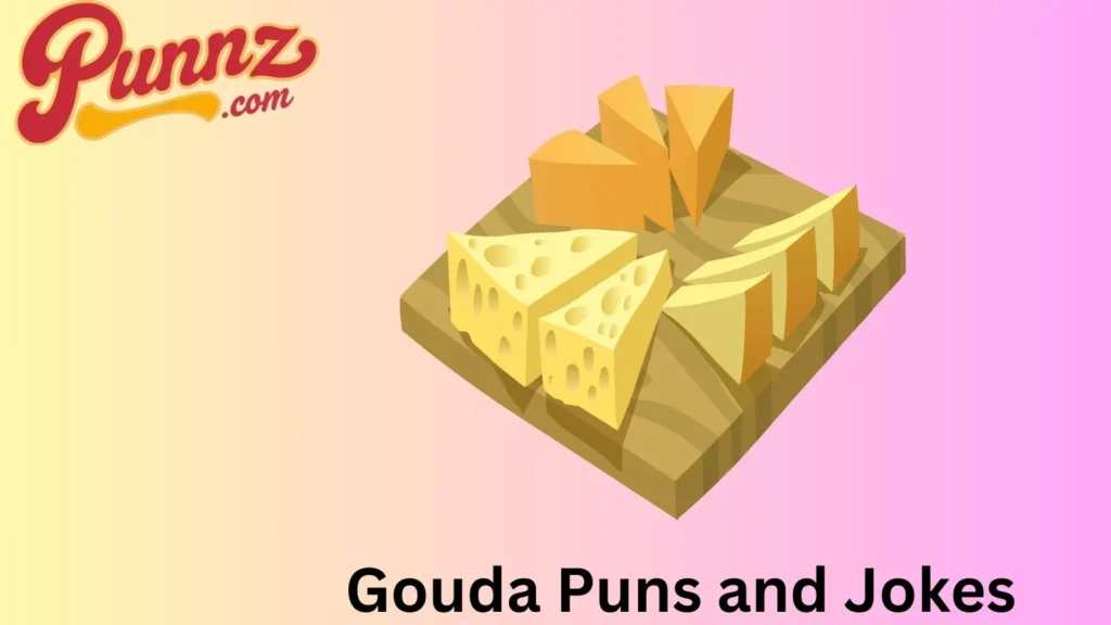 Gouda Cheese