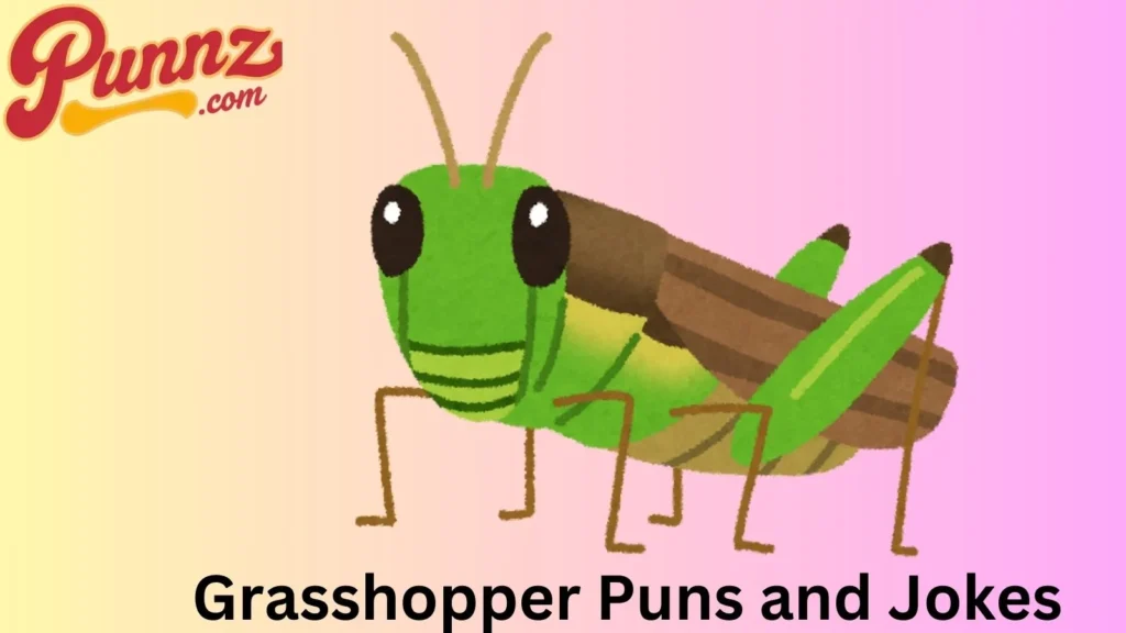 Grasshopper Jokes