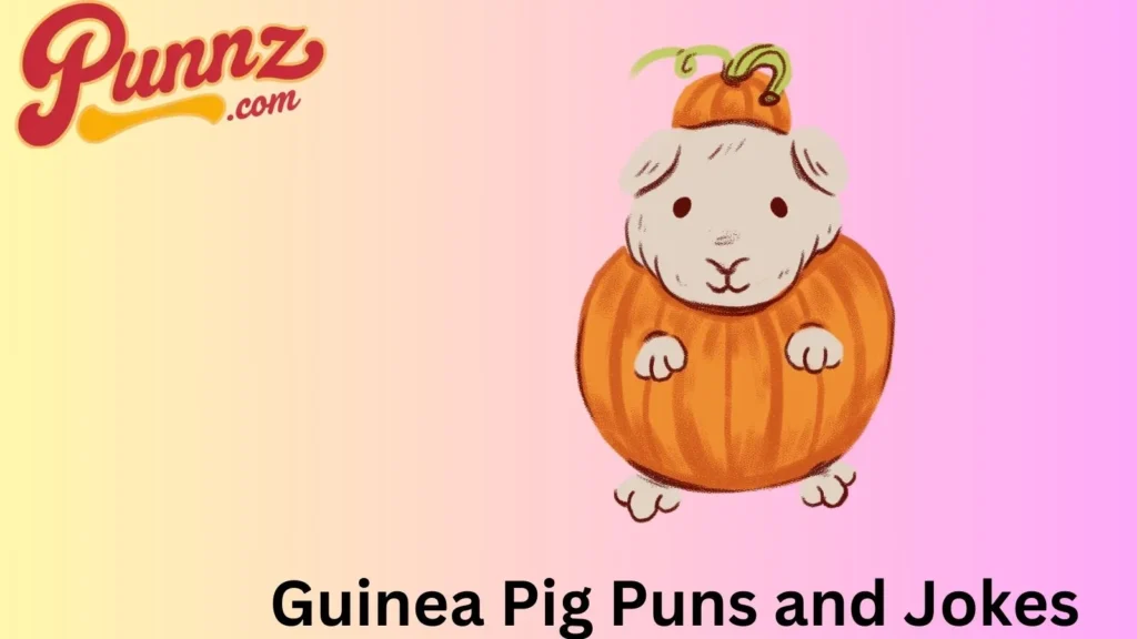 Guinea Pig