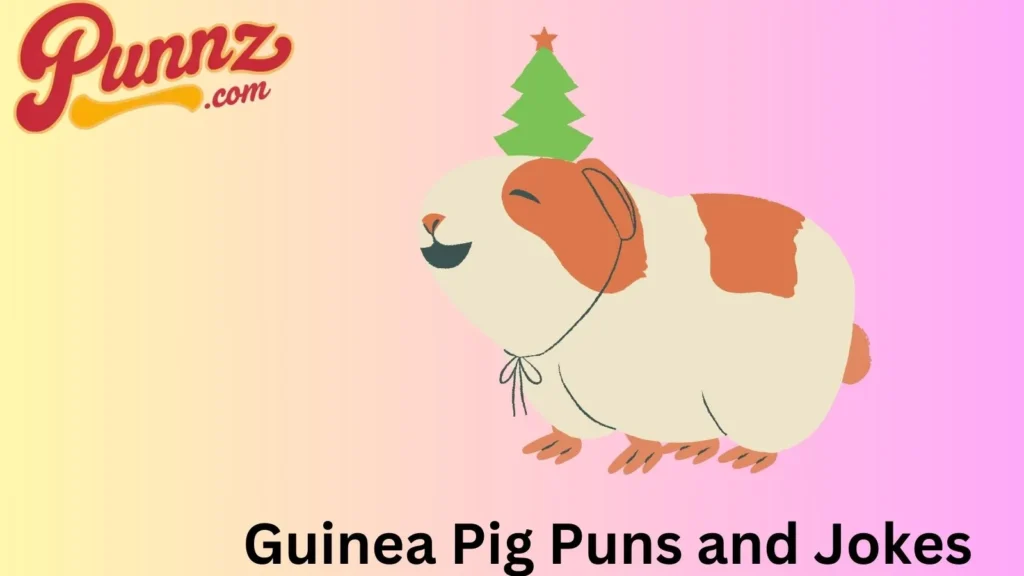 Guinea Pig Wordplay