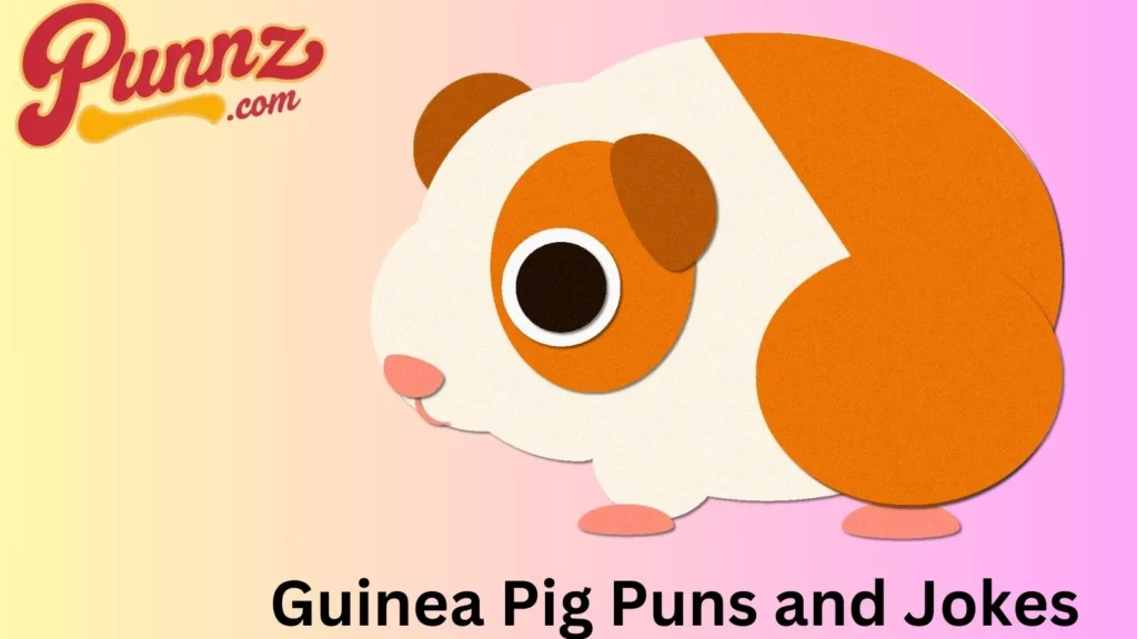 Guinea Pigs