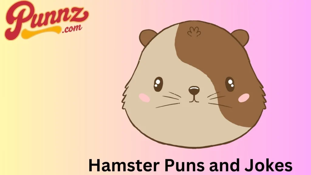 Hamster Jokes