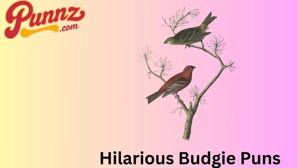 Hilarious Budgie Puns