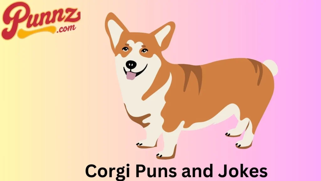 Jokes That Will Brighten Your Day