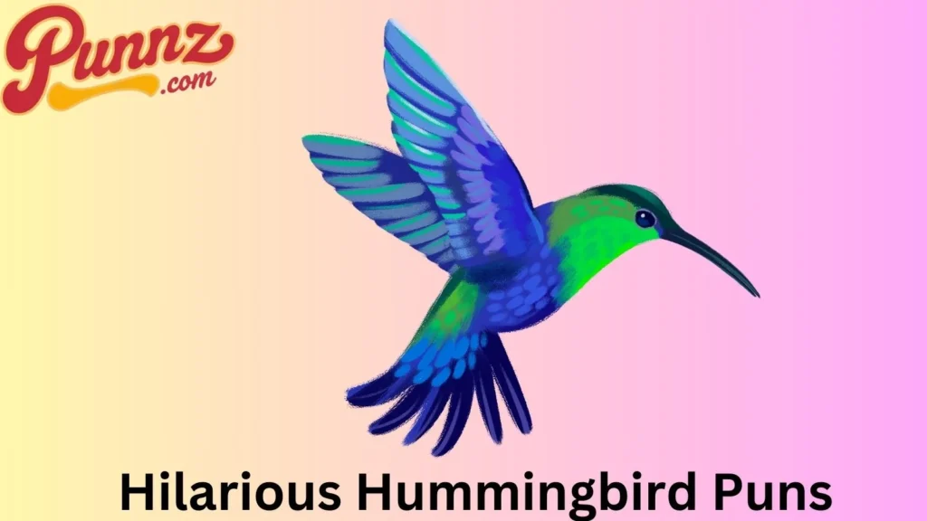 Hilarious Hummingbird Puns
