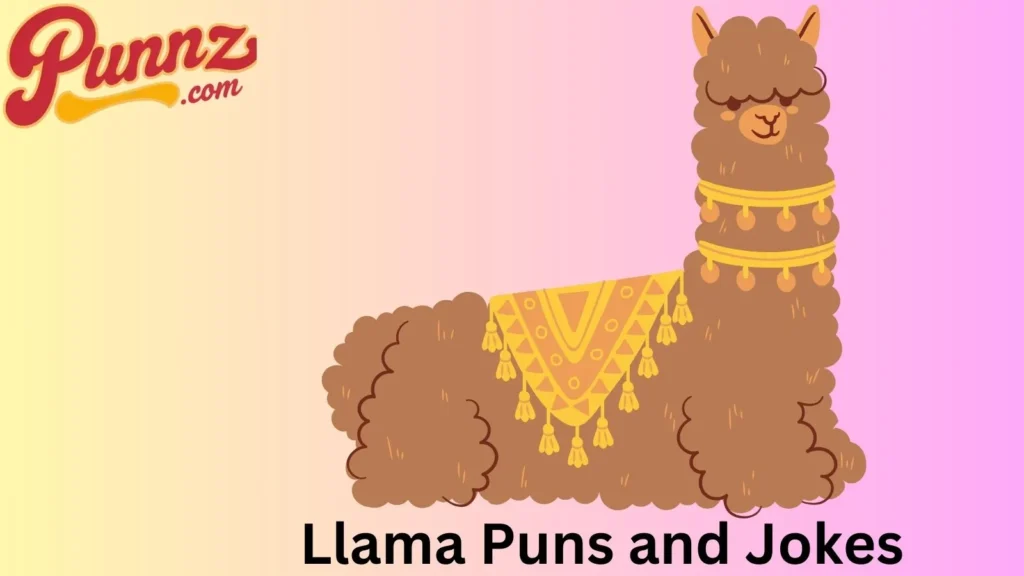 Hilarious Llama Puns