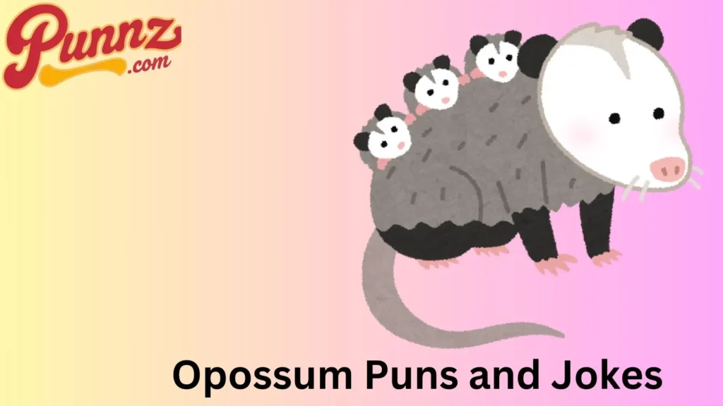 Hilarious Opossum Puns
