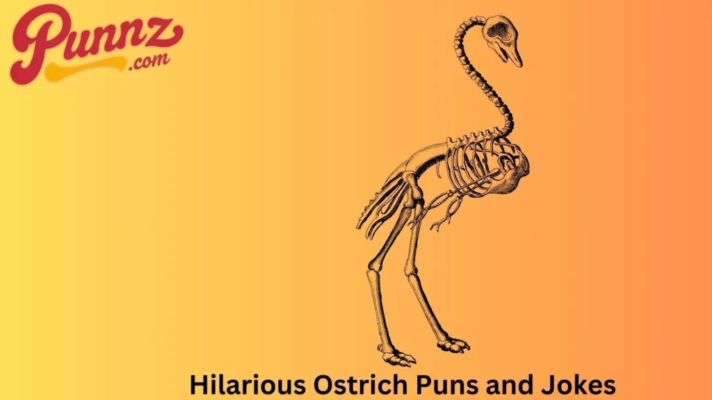Hilarious Ostrich Puns to Share with Friends