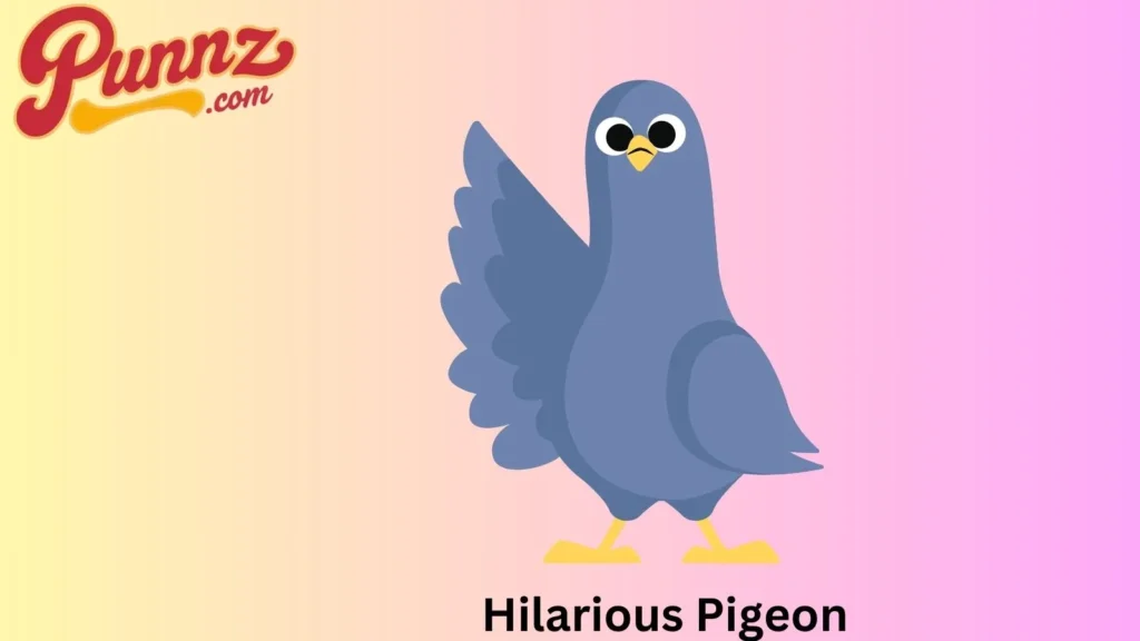 Hilarious Pigeon