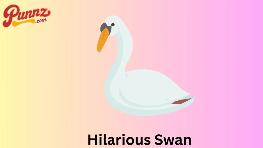 Hilarious Swan