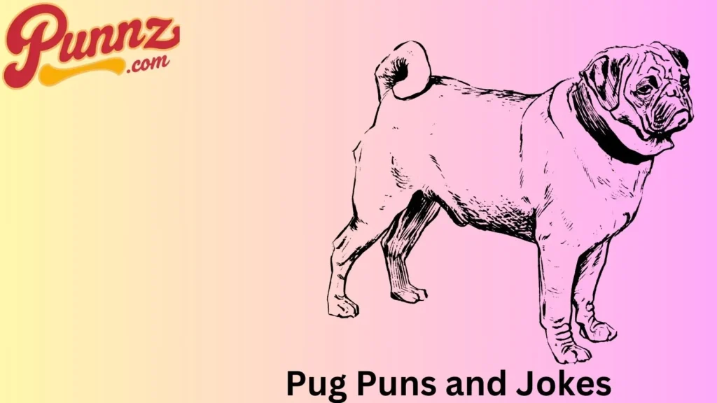 How Pug Jokes 