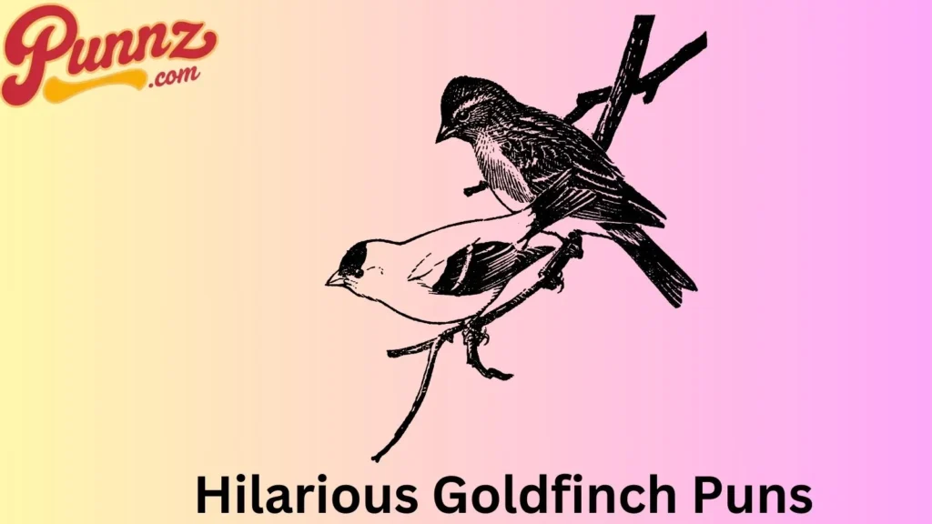 Laugh-Out-Loud Goldfinch Puns